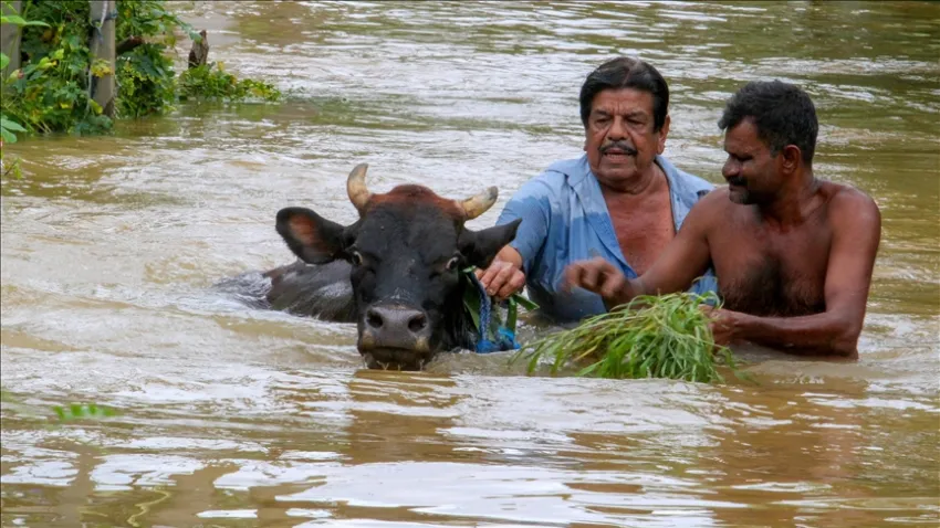 Sri Lanka’yı vuran felaket: Şiddetli yağışlar ve heyelan 47 can aldı