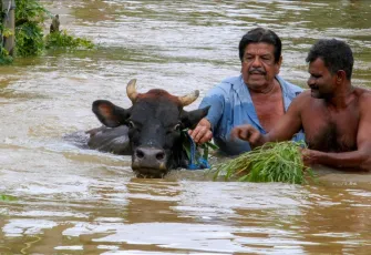 Sri Lanka’yı vuran felaket: Şiddetli yağışlar ve heyelan 47 can aldı