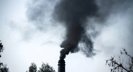 Akciğerlerin Sessiz Düşmanı: Hava Kirliliği Kanser Riskini Artırıyor