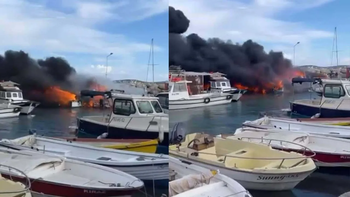 Çeşme’de balıkçı barınağında alevler 7 tekneyi sardı haberinin görseli