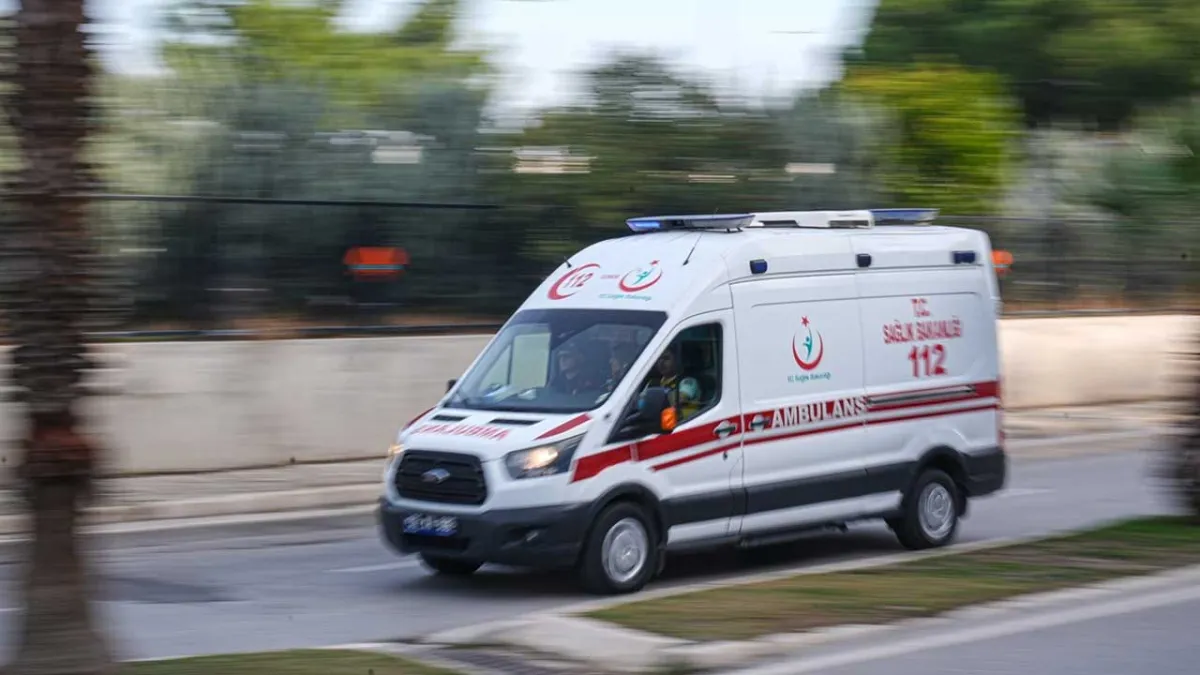 İzmir’de dananın saldırısına uğrayan besici yaşamını yitirdi haberinin görseli