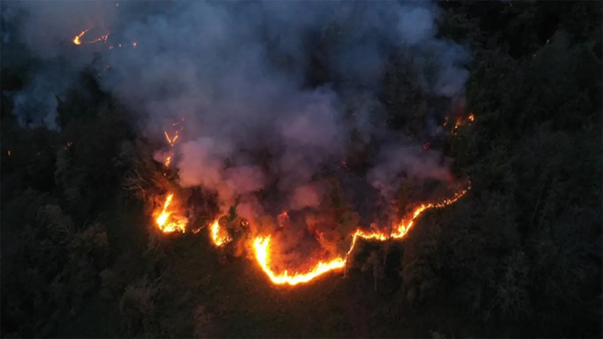 Artvin’de örtü yangını: Ormana sıçradı haberinin görseli