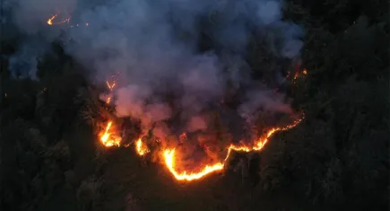 Artvin’de örtü yangını: Ormana sıçradı