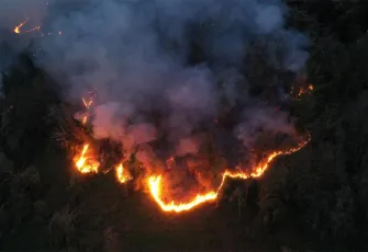 Artvin’de örtü yangını: Ormana sıçradı