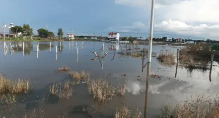 Balıkesir’de sağanak yazlıkları vurdu