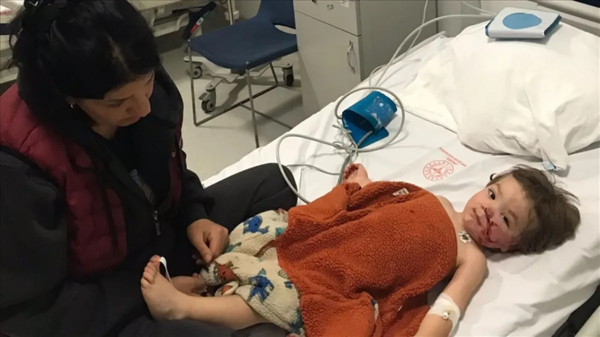 Başkentte pitbull dehşeti: 2 kardeş hastanelik oldu haberinin görseli