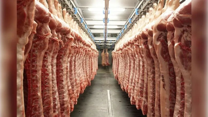 Dana ve kuzu etinde artış hızlandı haberinin görseli