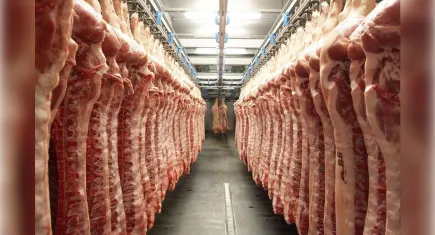 Dana ve kuzu etinde artış hızlandı