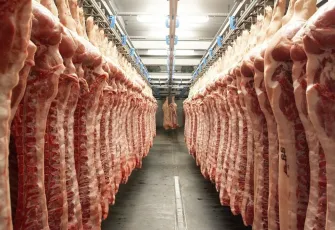 Dana ve kuzu etinde artış hızlandı