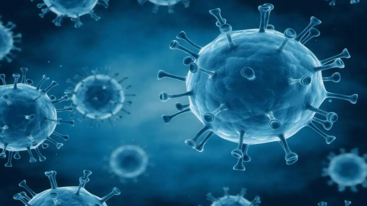 HIV ile mücadele eden insan sayısı 40 milyonu aştı haberinin görseli