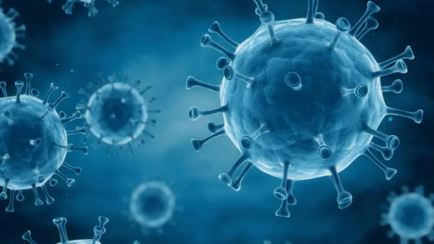 HIV ile mücadele eden insan sayısı 40 milyonu aştı haberinin görseli