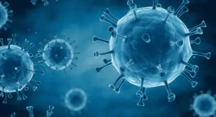 HIV ile mücadele eden insan sayısı 40 milyonu aştı