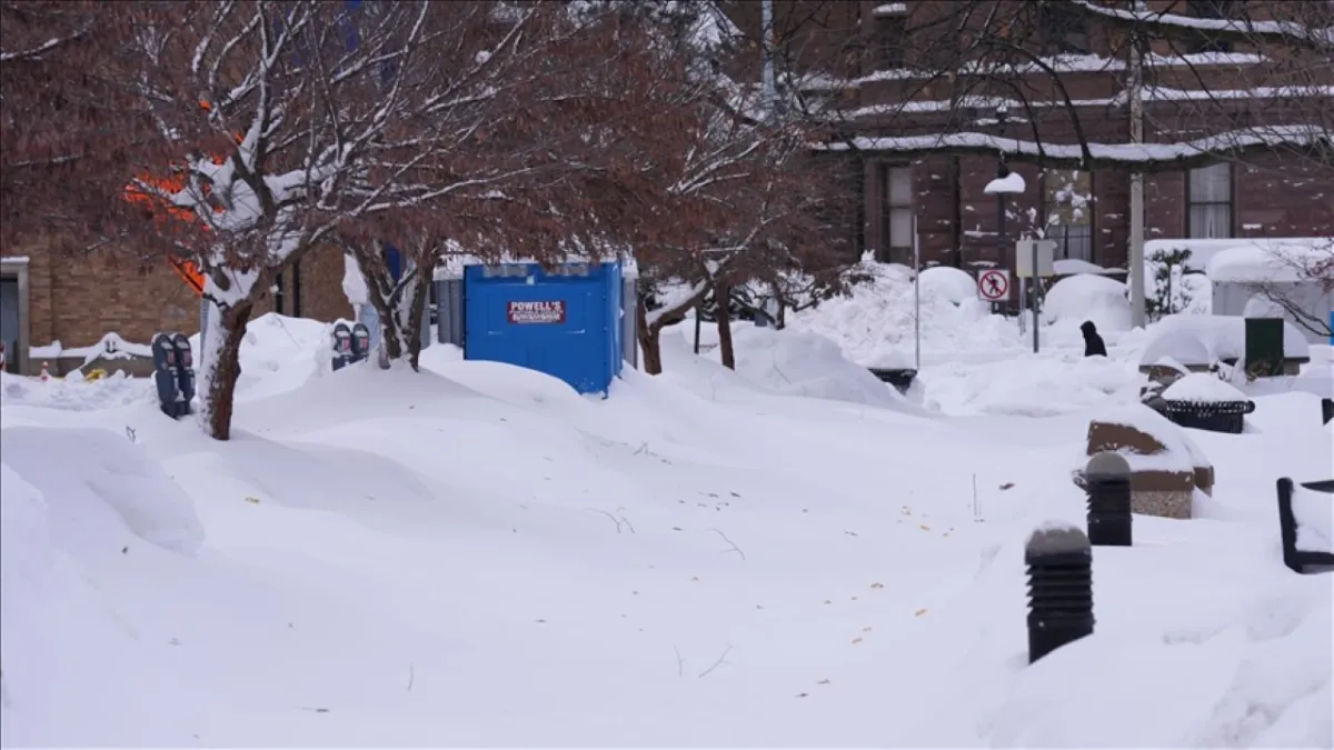 Kar ve fırtına sebebiyle 2 bin 500 uçuş iptal edildi haberinin görseli