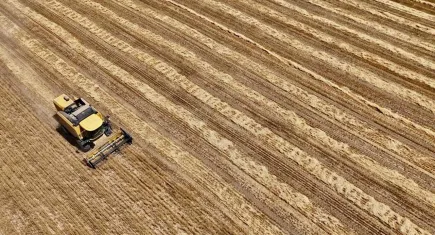 Tarımdan 24 yılın en kötü performansı