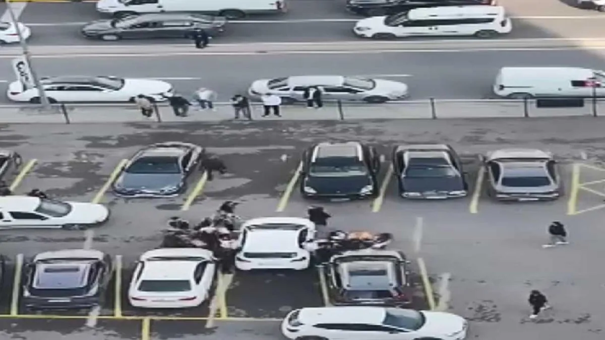 Adliye bahçesi savaş alanına döndü: Duruşma sonrası iki aile birbirine girdi haberinin görseli