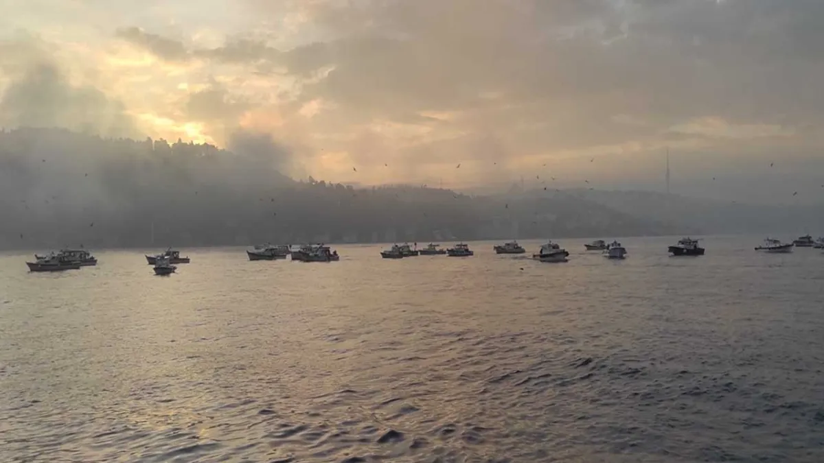 İstanbul Boğazı'nda sis engeli haberinin görseli