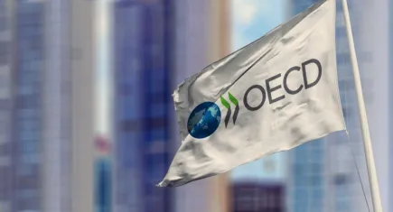 OECD'nin Türkiye ekonomisi tahminleri yükseldi