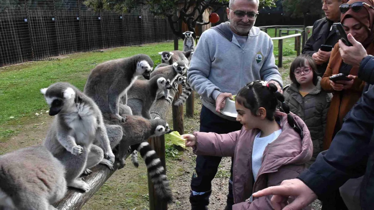 Özel çocuklar, lemurlarla buluştu haberinin görseli