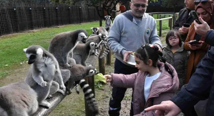 Özel çocuklar, lemurlarla buluştu