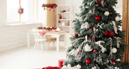 Yılbaşı ağacı kurmanın maliyeti dudak uçuklattı: Fiyatlar 20 bin lirayı aşıyor!