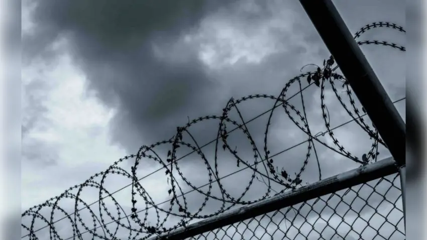 Kadının İnsan Hakları Derneği’nden af düzenlemesine tepki: Kabul edilemez haberinin görseli