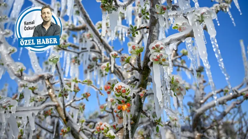 Uzmanlar uyardı; sıcak kış donuk bahar haberinin görseli