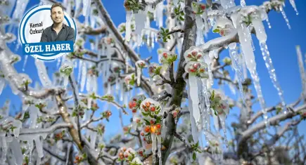 Uzmanlar uyardı; sıcak kış donuk bahar