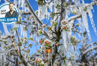 Uzmanlar uyardı; sıcak kış donuk bahar