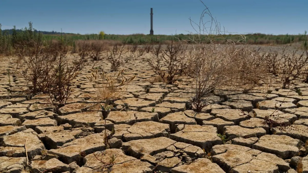 Yıl Sonuna Kadar Beklenen Yağış Yok: Uzmanlardan Kuraklık Uyarısı haberinin görseli
