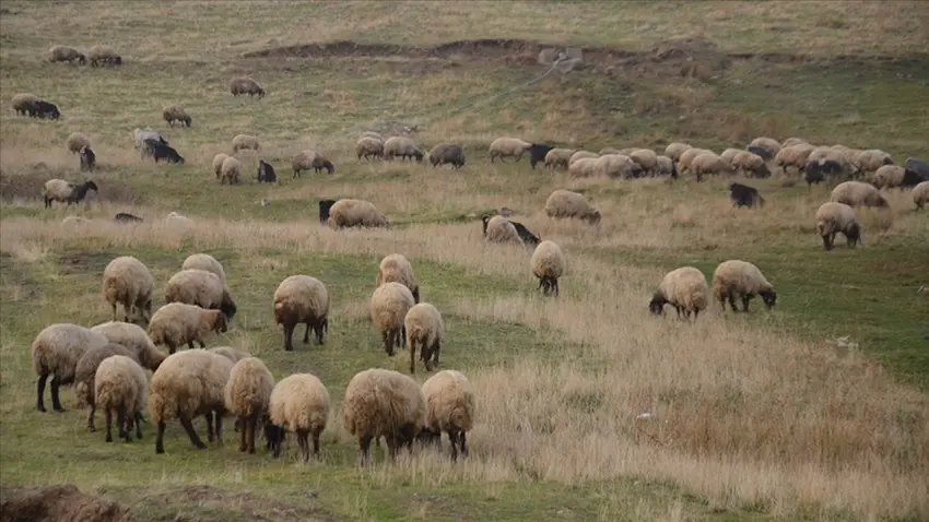 Bakanlıktan ıslah projelerine 2,7 milyarlık destek haberinin görseli