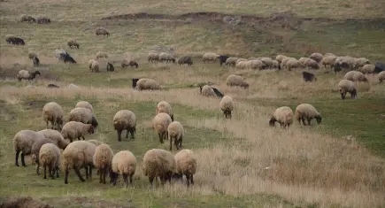 Bakanlıktan ıslah projelerine 2,7 milyarlık destek