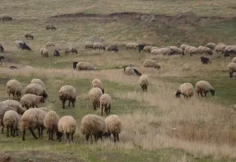 Bakanlıktan ıslah projelerine 2,7 milyarlık destek