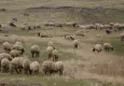 Bakanlıktan ıslah projelerine 2,7 milyarlık destek