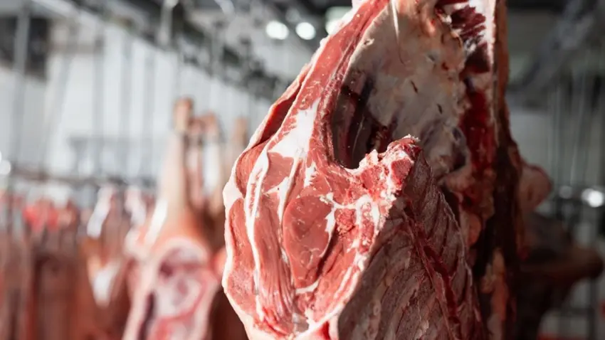 Kırmızı ette fiyatlar bir haftada geriledi haberinin görseli