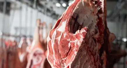 Kırmızı ette fiyatlar bir haftada geriledi