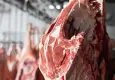 Kırmızı ette fiyatlar bir haftada geriledi