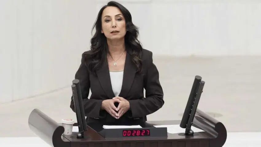 DEM Parti'den 6 maddelik program