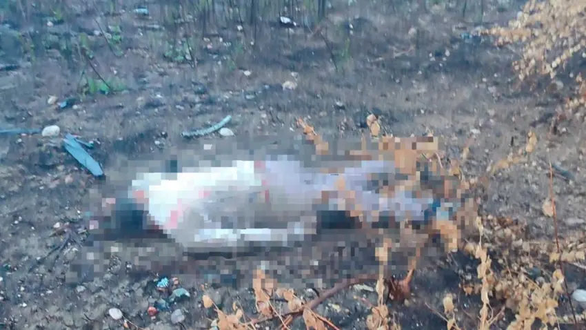 Mersin Otoyolu'nda korkunç kaza: Sürücü 30 metrelik viyadükten aşağı savruldu! haberinin görseli