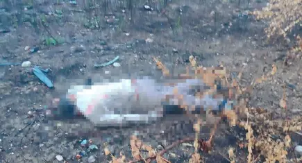 Mersin Otoyolu'nda korkunç kaza: Sürücü 30 metrelik viyadükten aşağı savruldu!