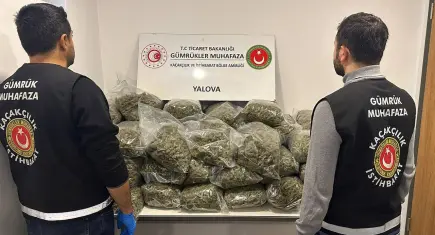 Fransa’dan gelen TIR’dan 23 milyon lira değerinde yasaklı madde çıktı