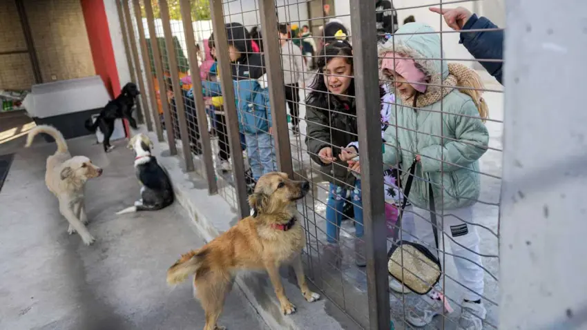 Çocuklara hayvan sevgisi aşılanıyor