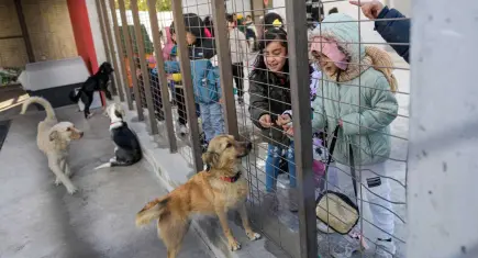 Çocuklara hayvan sevgisi aşılanıyor