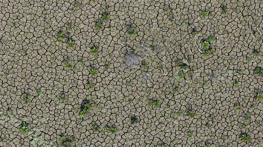 İzmir'deki kuraklık alarm veriyor: Barajlarda su kalmadı