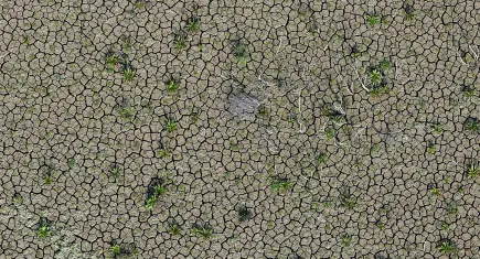 İzmir'deki kuraklık alarm veriyor: Barajlarda su kalmadı