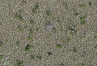 İzmir'deki kuraklık alarm veriyor: Barajlarda su kalmadı