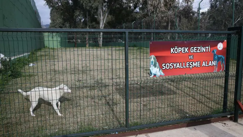 Karşıyaka Belediyesi, 1 yılda 40 bin canın yaşamına dokundu