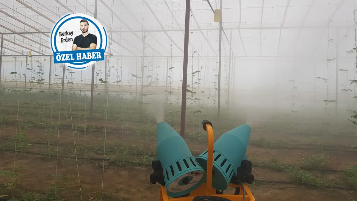 Tarımda işler şansa ve soğuğa kaldı haberinin görseli