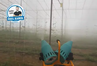 Tarımda işler şansa ve soğuğa kaldı