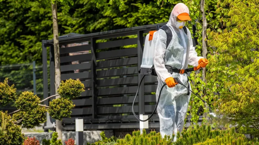 Böcek ilaçlarında yeni dönem: Reçetesiz ve internet satışları tarih oluyor haberinin görseli