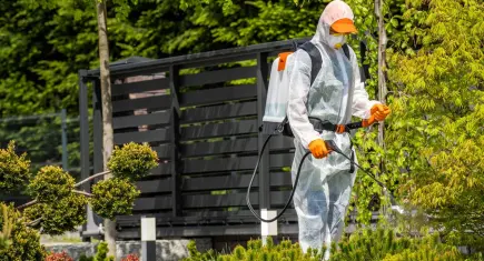 Böcek ilaçlarında yeni dönem: Reçetesiz ve internet satışları tarih oluyor